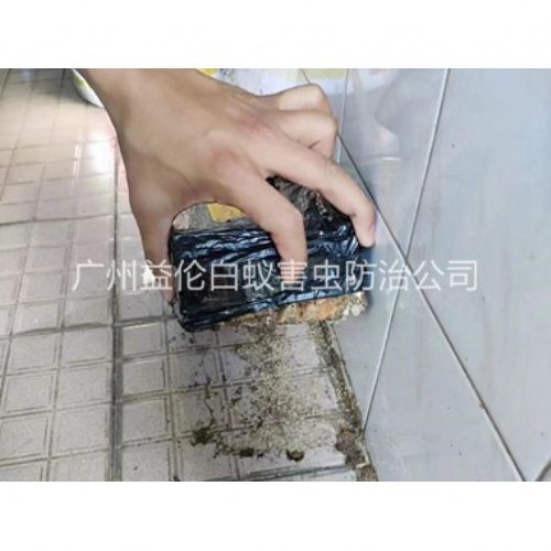 新市诱杀白蚁危害工程
