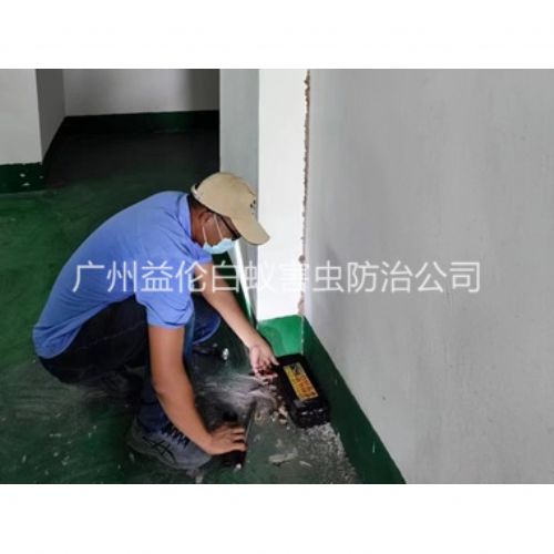 龙归电机房灭杀白蚁工程